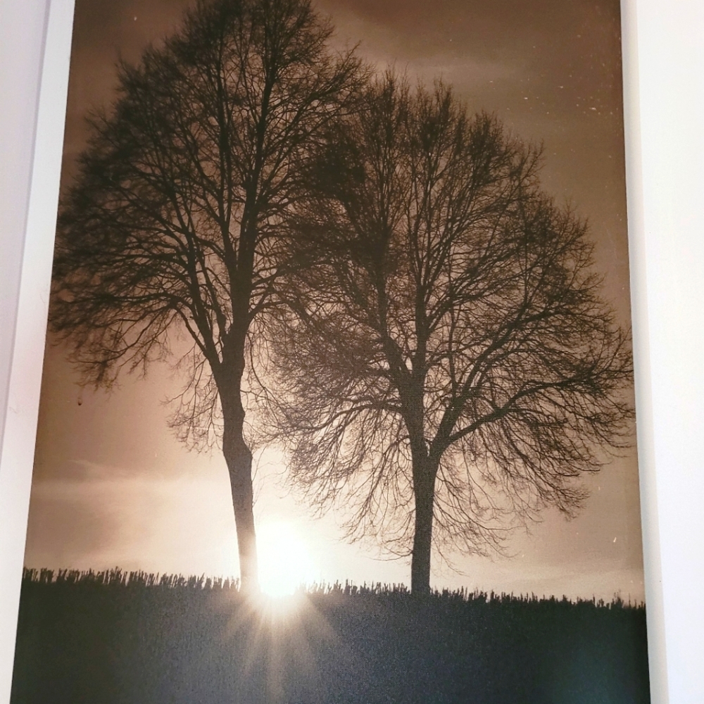 Large tree canvas